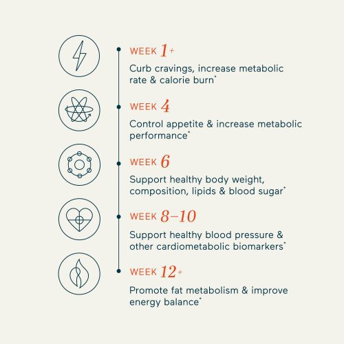 gallery 2024 MBG Supplements Metabolism MBG PDPCarousel Metabolism Timeline R1