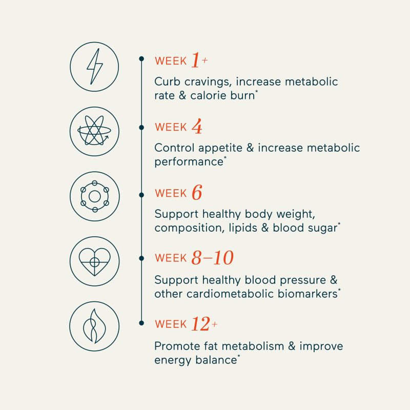 gallery 2024 MBG Supplements Metabolism MBG PDPCarousel Metabolism Timeline R1