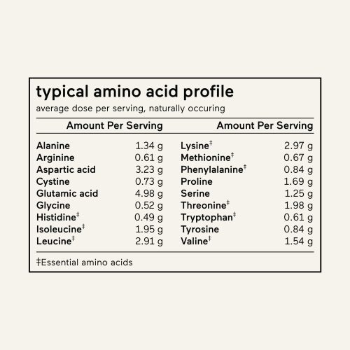 gallery MBG AminoAcidProfile Protein Vanilla 949a8bf7 1579 4c14 87df ec12764e9a3b