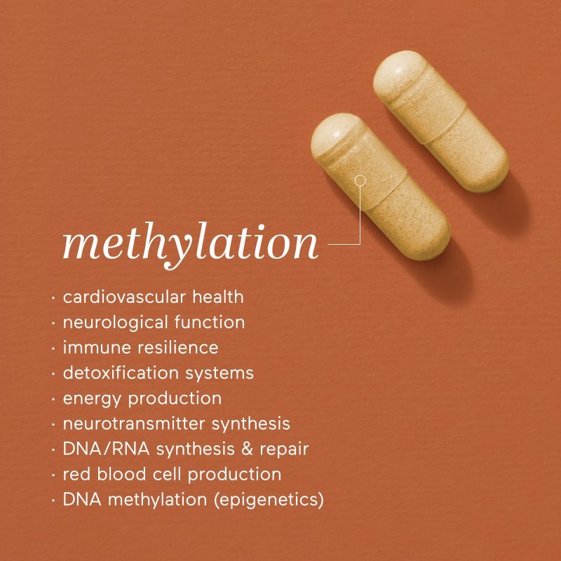 gallery MBG Supplements MethylationSupport 4